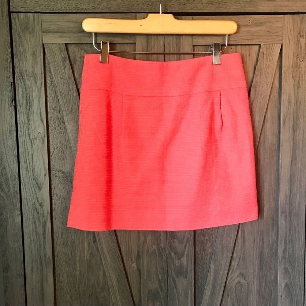 J. Crew Skirt  